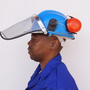 Face and Head Protection